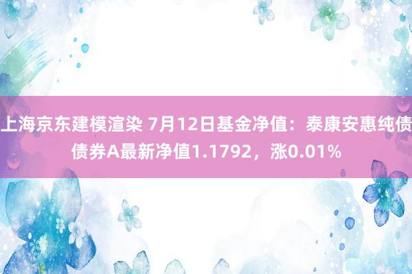 上海京东建模渲染 7月12日基金净值：泰康安惠纯债债券A最新净值1.1792，涨0.01%