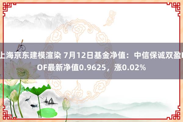 上海京东建模渲染 7月12日基金净值：中信保诚双盈LOF最新净值0.9625，涨0.02%